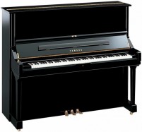 Bán đàn piano giá rẻ nhất tại tphcm