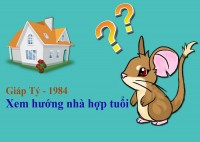 Chuyên gia phong thủy tư vấn chọn Hướng nhà hợp tuổi Giáp Tý 1984