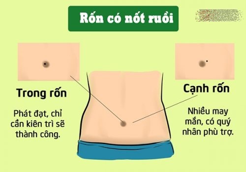 xem tướng số qua rốn