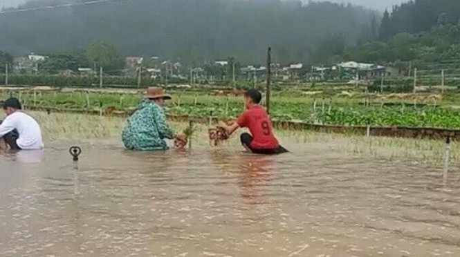 Ảnh hưởng bão số 6: Sạt lở núi chia cắt nhiều tuyến đường, Quảng Ngãi thiệt hại nặng