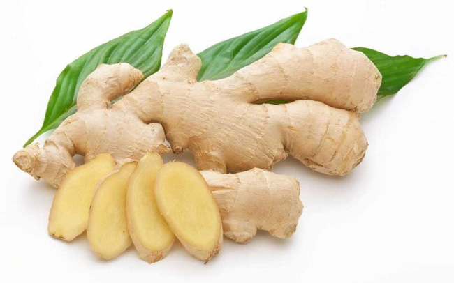  Gừng (Zingiber officinale Rosc.)
