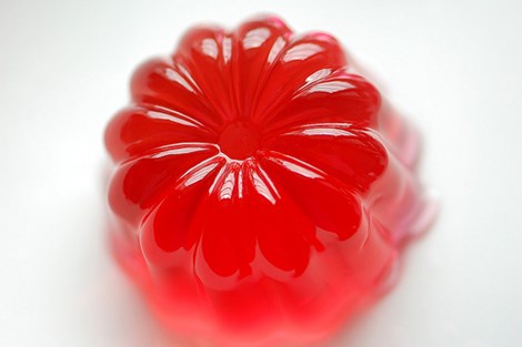 gelatin1